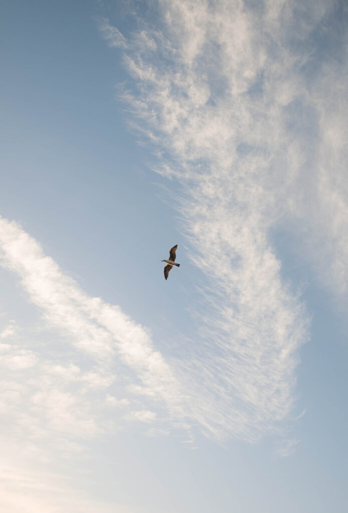 Intimate beach elopement ceremony with family gathered on a cliffside