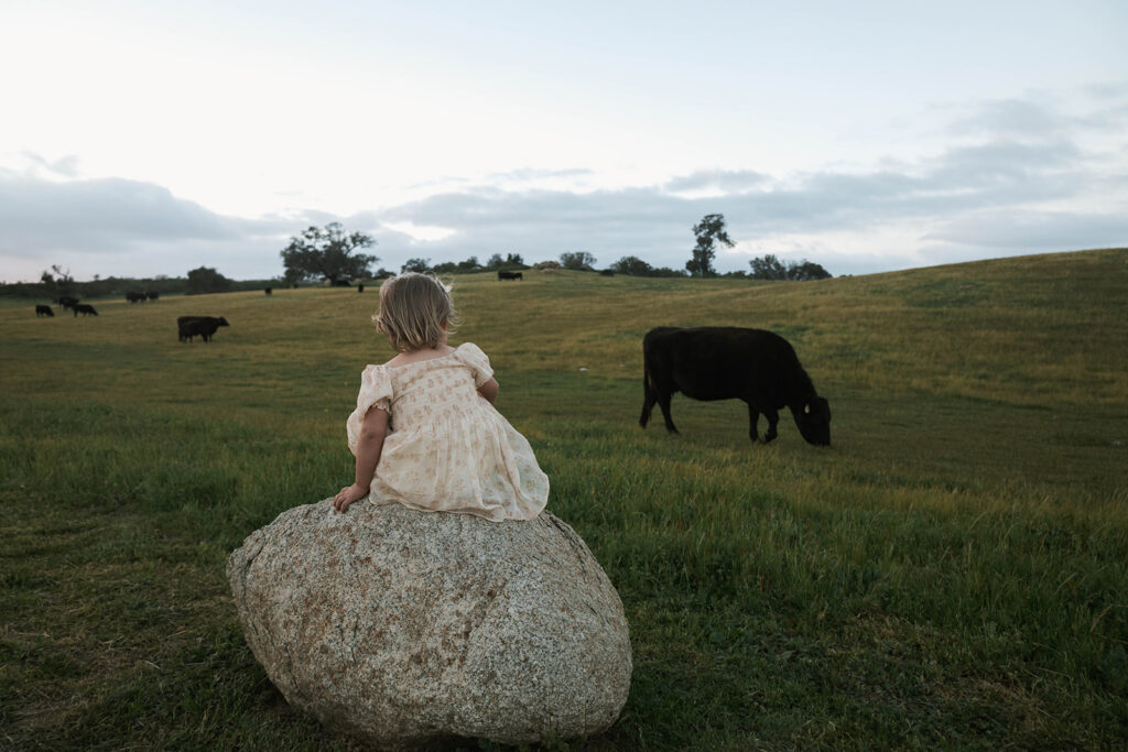 Candid moment of parents and child embracing in golden hour light and cows