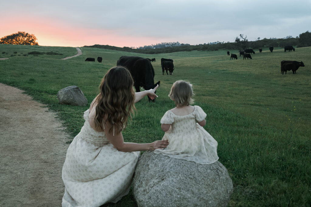 Candid moment of parents and child embracing in golden hour light and cows