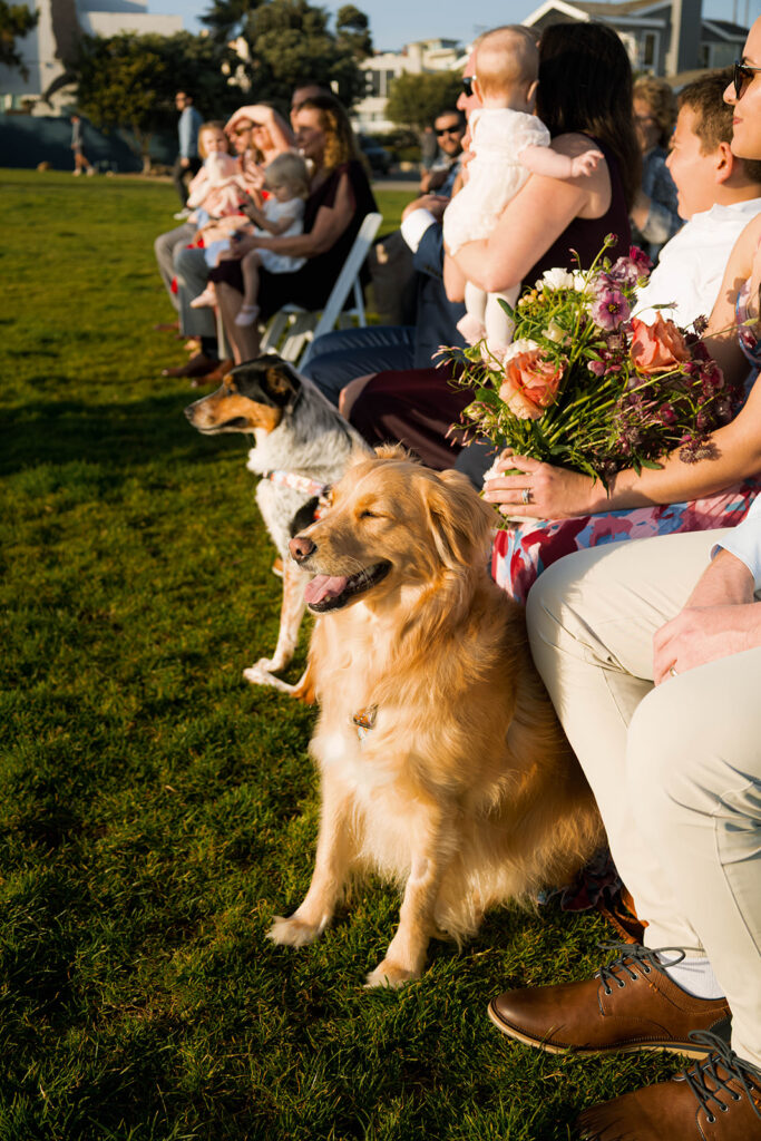 Intimate beach elopement ceremony with family gathered on a cliffside