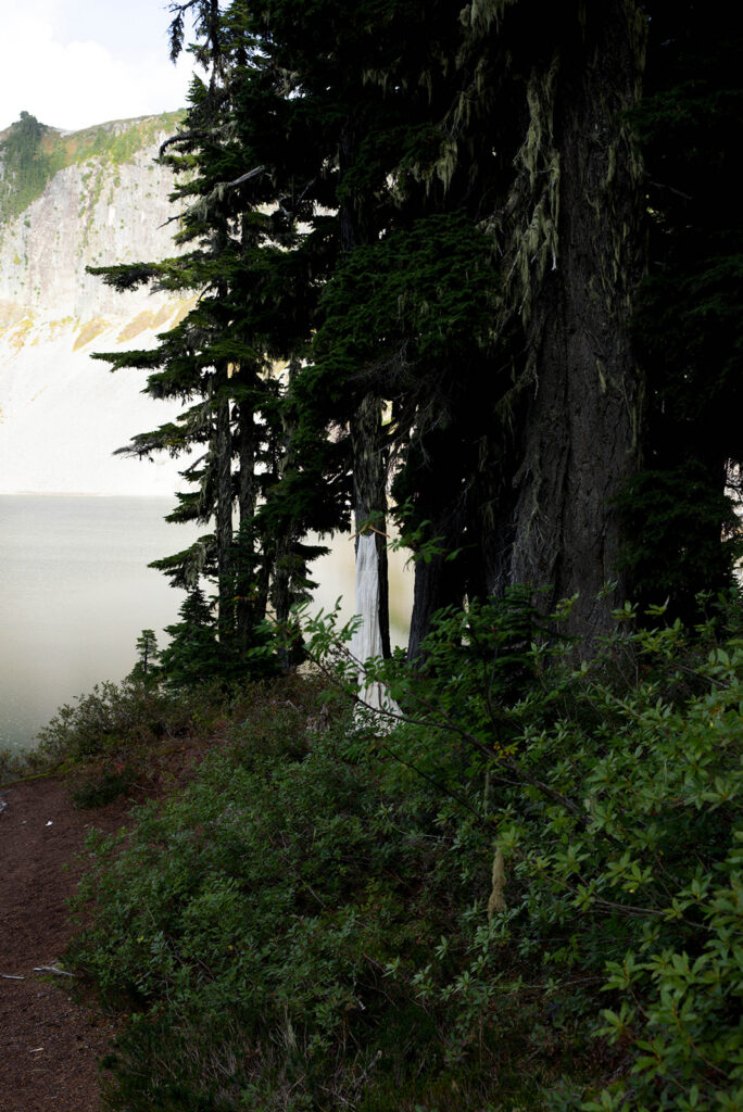 bridal gown hanging in tree by lake in the north cascades mountains of washington